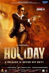 Holiday (2014)