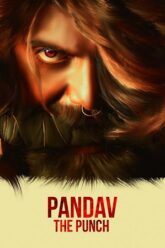 Pandav The Punch