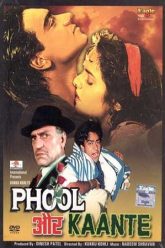 Phool Aur Kaante (1991)