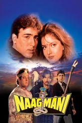 Naagmani (1991