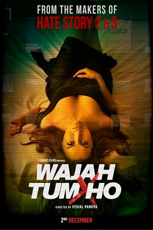 Wajah Tum Ho (2016)