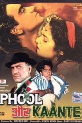 Phool Aur Kaante (1991)