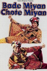 Bade Miyan Chote Miyan (1998