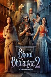 Bhool Bhulaiyaa 2 (2022)