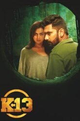 K 13